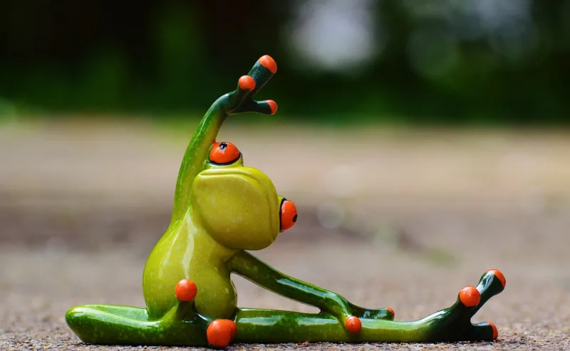 WOD del 1 January 2025