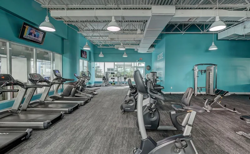 WOD del 20 February 2025